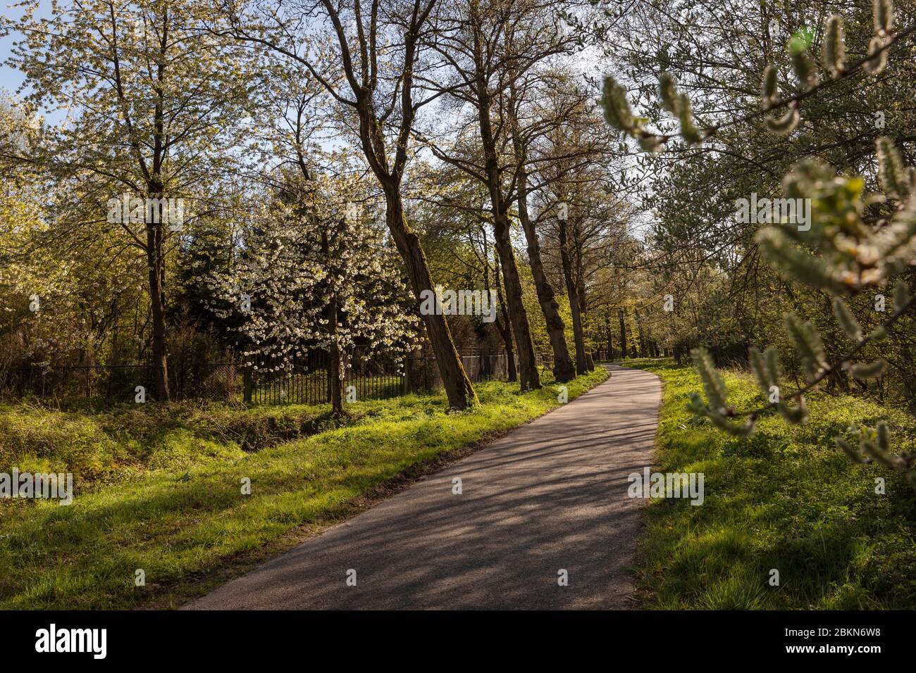 A view of the rural area near the Philips de Jongh Park and Strijp R in Eindhoven City on a sunny day. Dutch nature with a path, trees with blossoms a Stock Photo