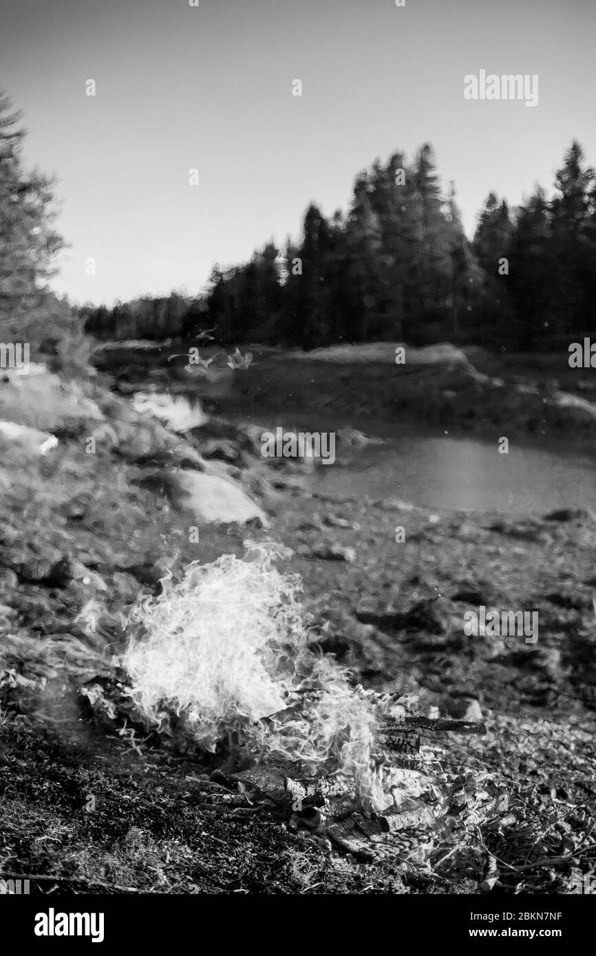 A black and white image of a campfire burning on a beach next to a small cove, with evergreen trees in the background, Vinalhaven, Maine, USA Stock Photo