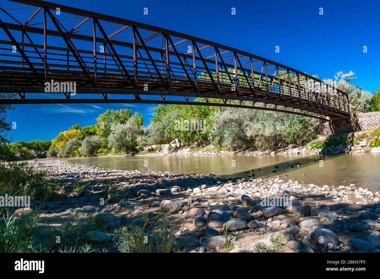 bridge crossing over the Animas River on the river walk Farmington, New Mexico, USA. Stock Photo