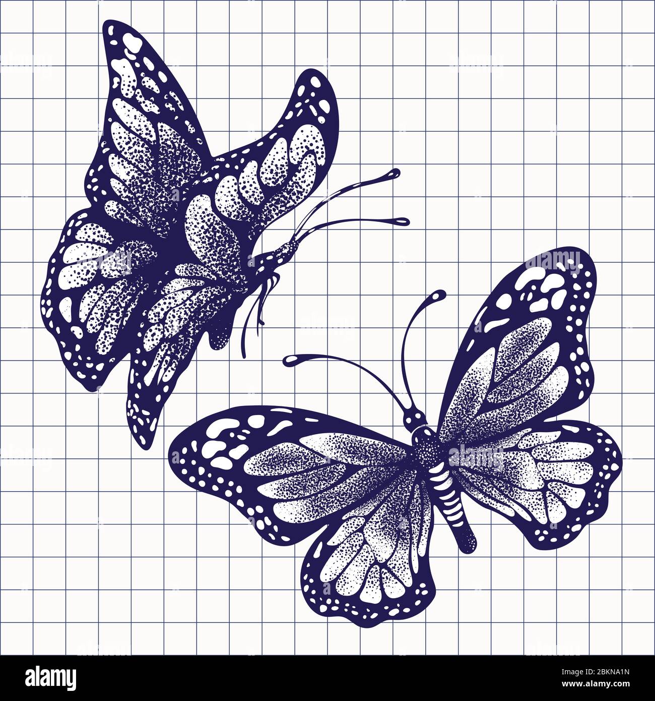 Ink butterflies, hand drawing ballpoint pen drawn in checkered notebook,  set doodle insect sketch. Blue painted graphic butterfly with wings closed  an Stock Vector Image & Art - Alamy