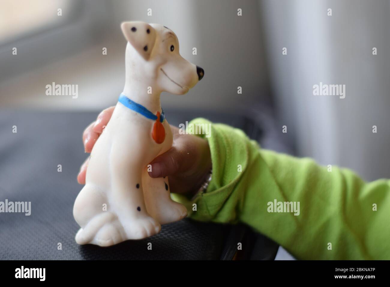 close up shot of a hand holding a dog toy Stock Photo