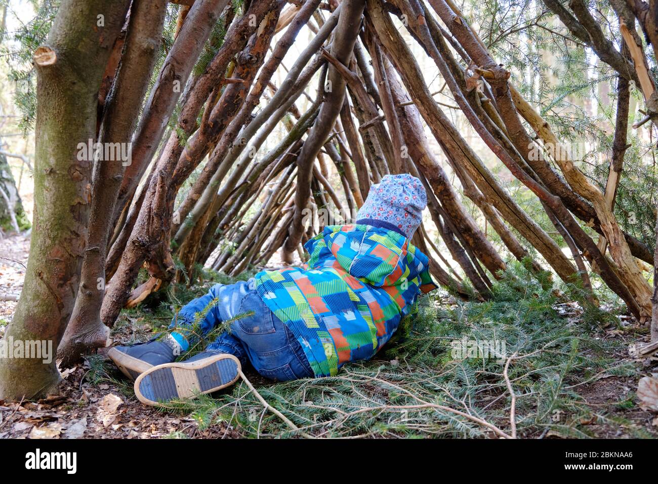 Rear view of 4 year old caucasian child lying in a teepee in the forest made of branches and wooden sticks from the forest. Seen in Germany in April. Stock Photo