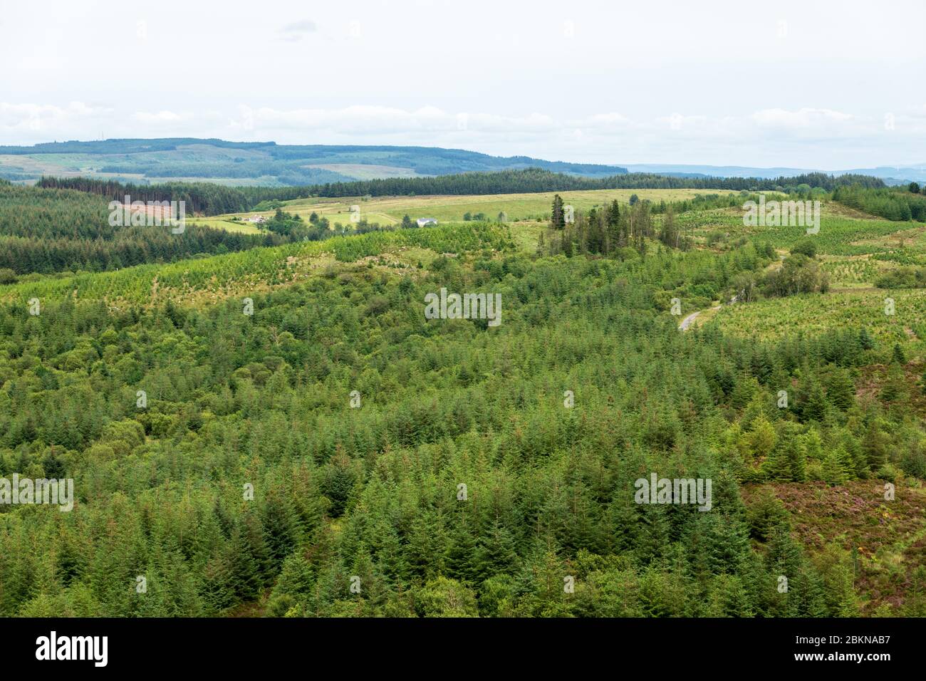 Viewpoint from Little Dog hill in Big Dog Forest , Co. Fermanagh, Northern Ireland Stock Photo