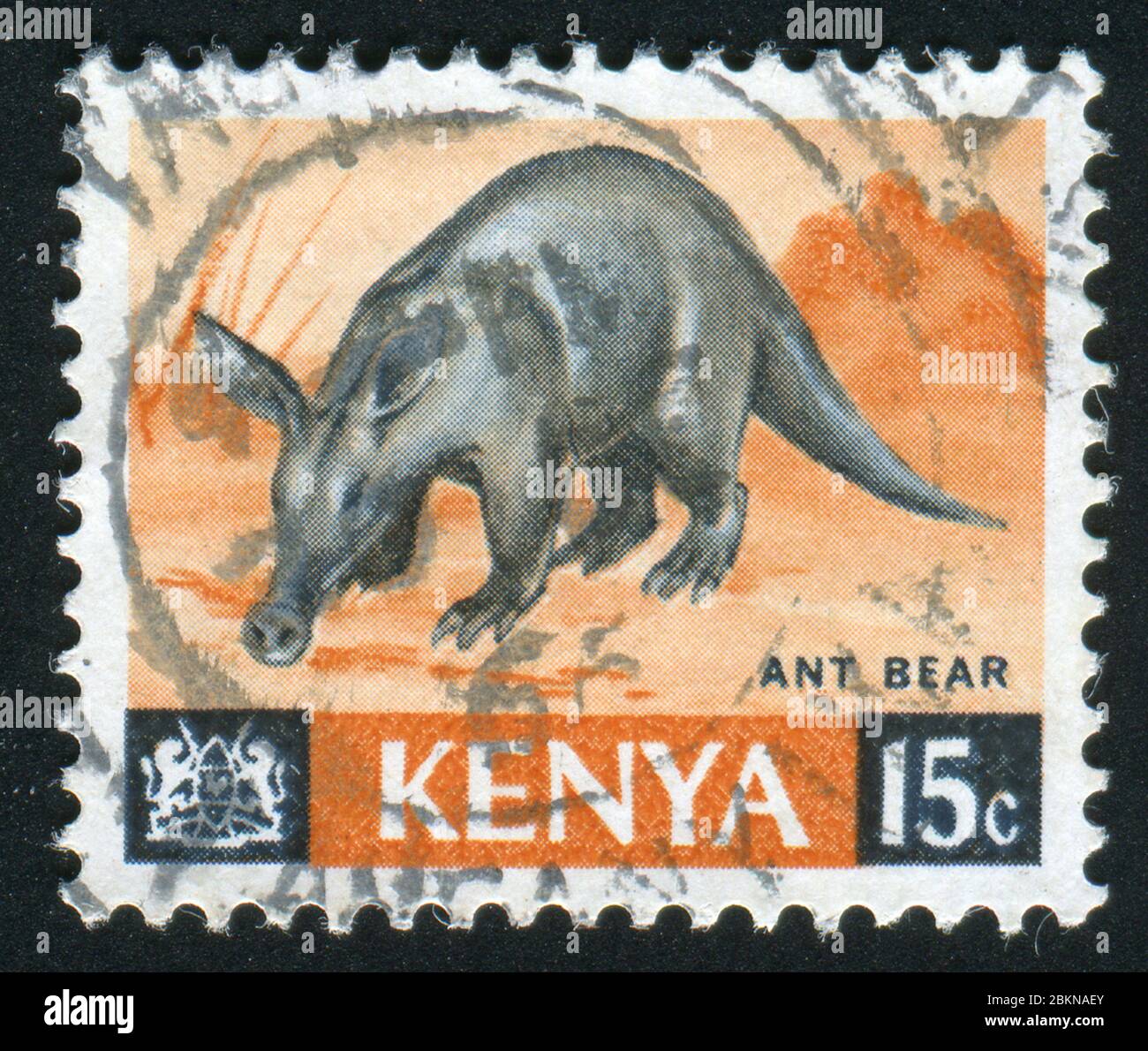 KENYA - CIRCA 1964: Animals. Aardvark-is a medium-sized, burrowing, nocturnal  mammal native to Africa, circa 1964 Stock Photo - Alamy