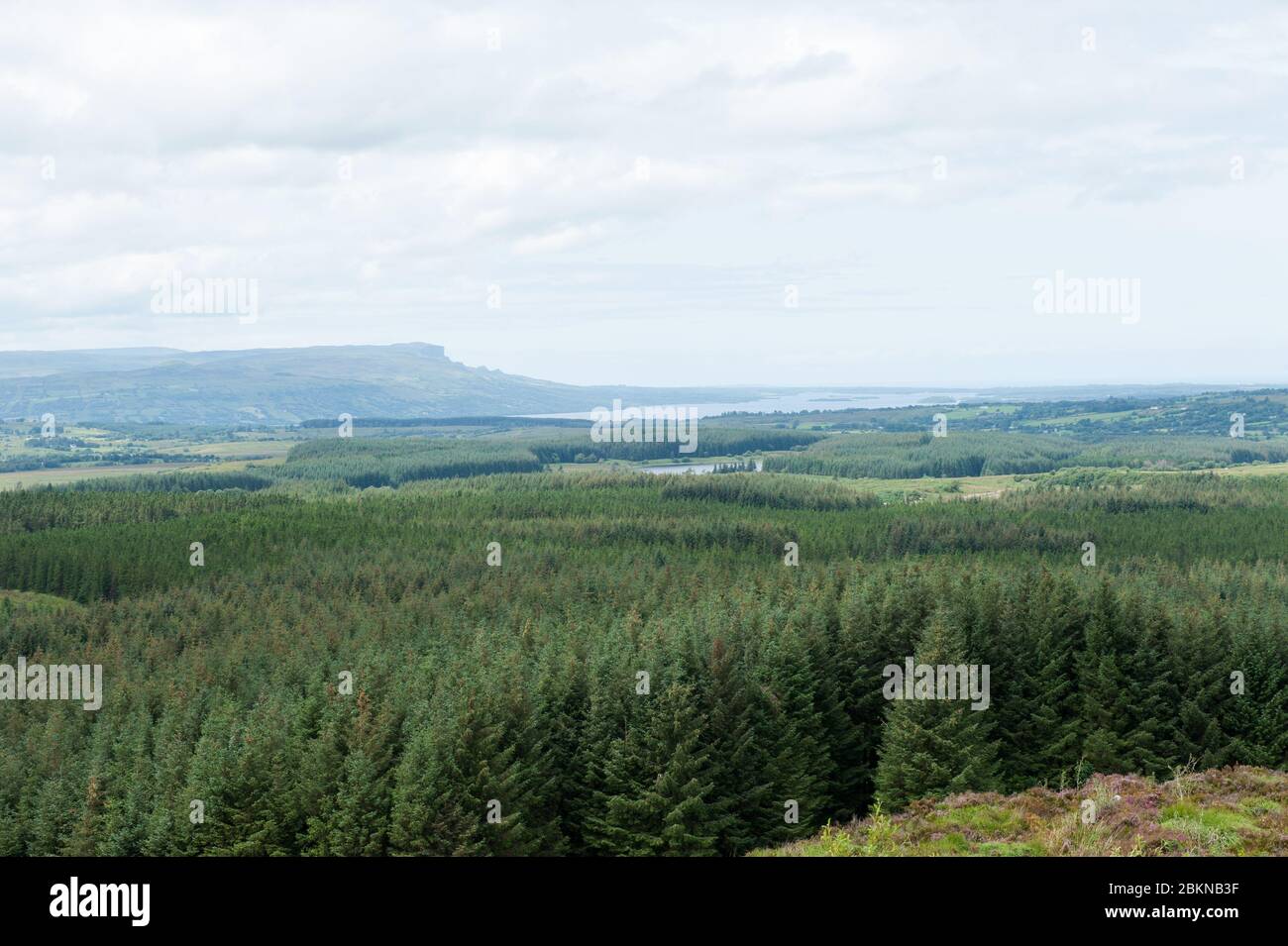 Viewpoint from Little Dog Hill, Big Dog Forest , Co. Fermanagh, Northern Ireland Stock Photo