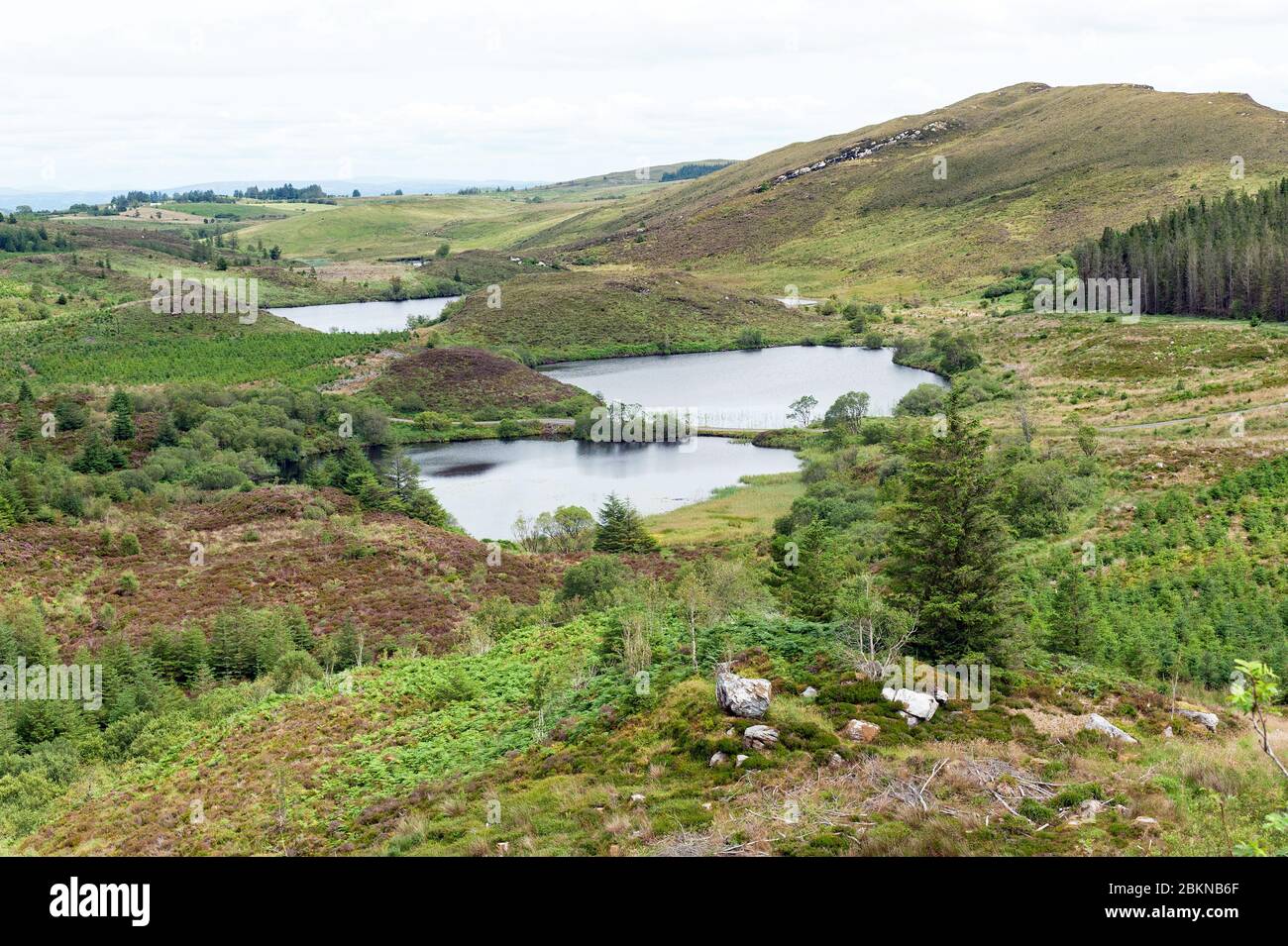 Loug Nabricboy and Meenagleragh lakes in Big Dog Forest , Co. Fermanagh, Northern Ireland Stock Photo