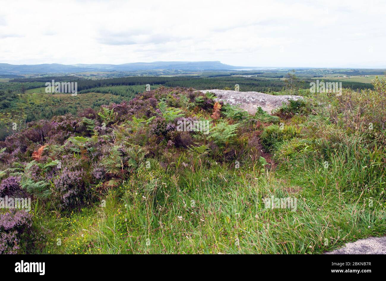 View from Little Dog Hill, Co. Fermanagh, Northern Ireland Stock Photo