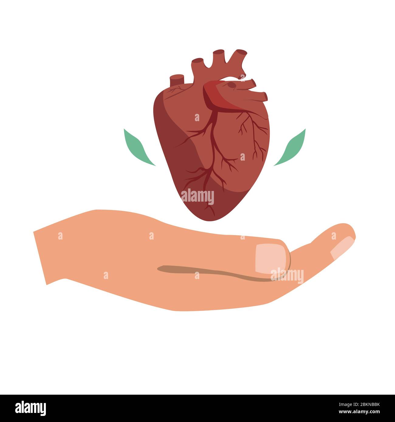Heart donation vector. Giving hand with heart symbol. The bioengineering technologies for creating viable organs for transplantation concept. Stock Vector