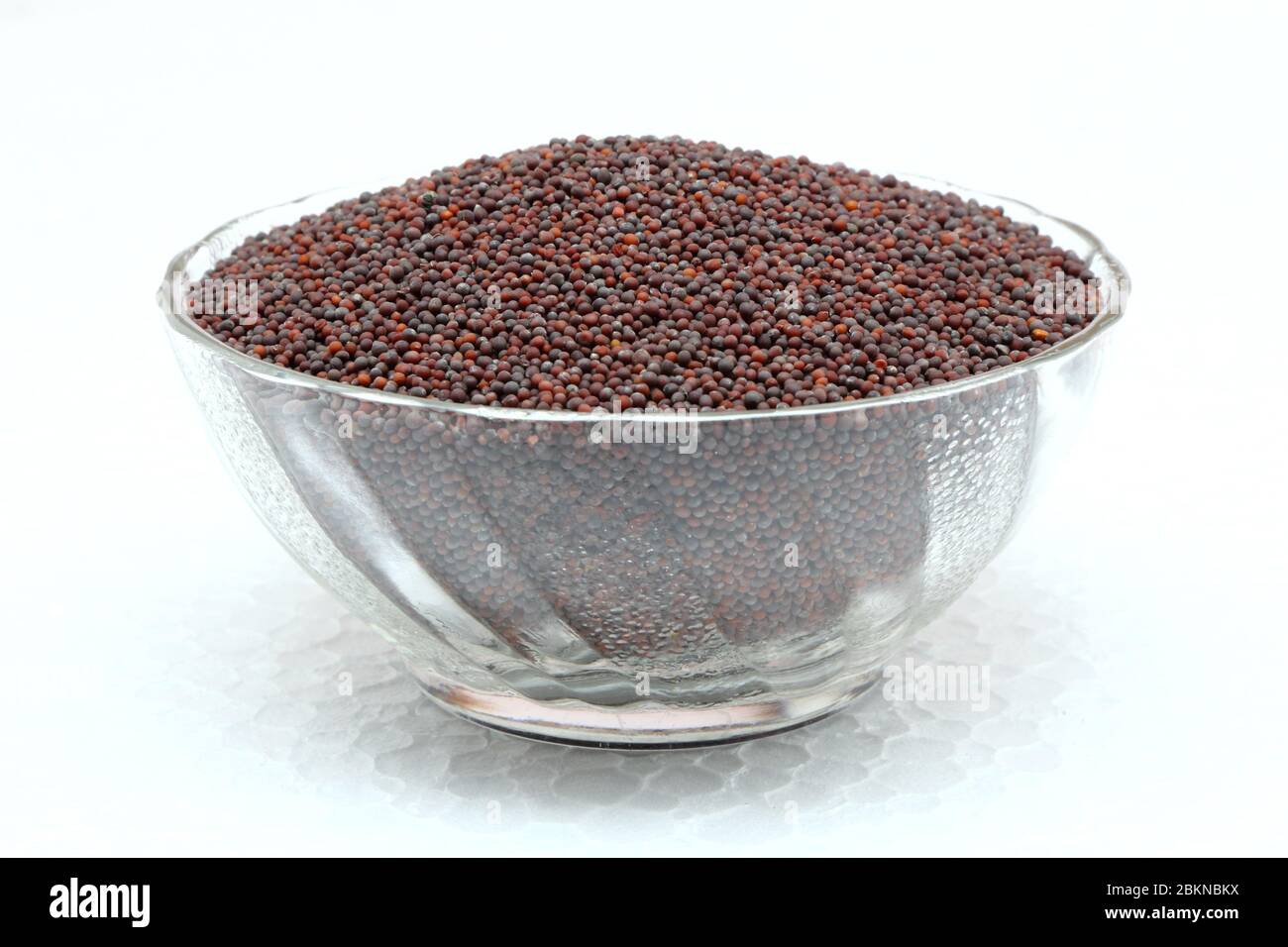 Mustard oil seeds hires stock photography and images Alamy