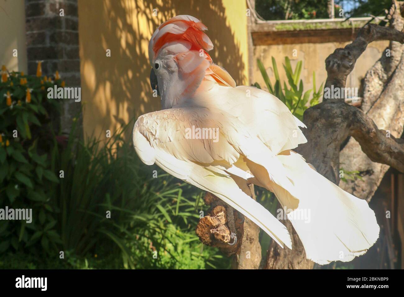 Images Zpetxn3jr7 Aam