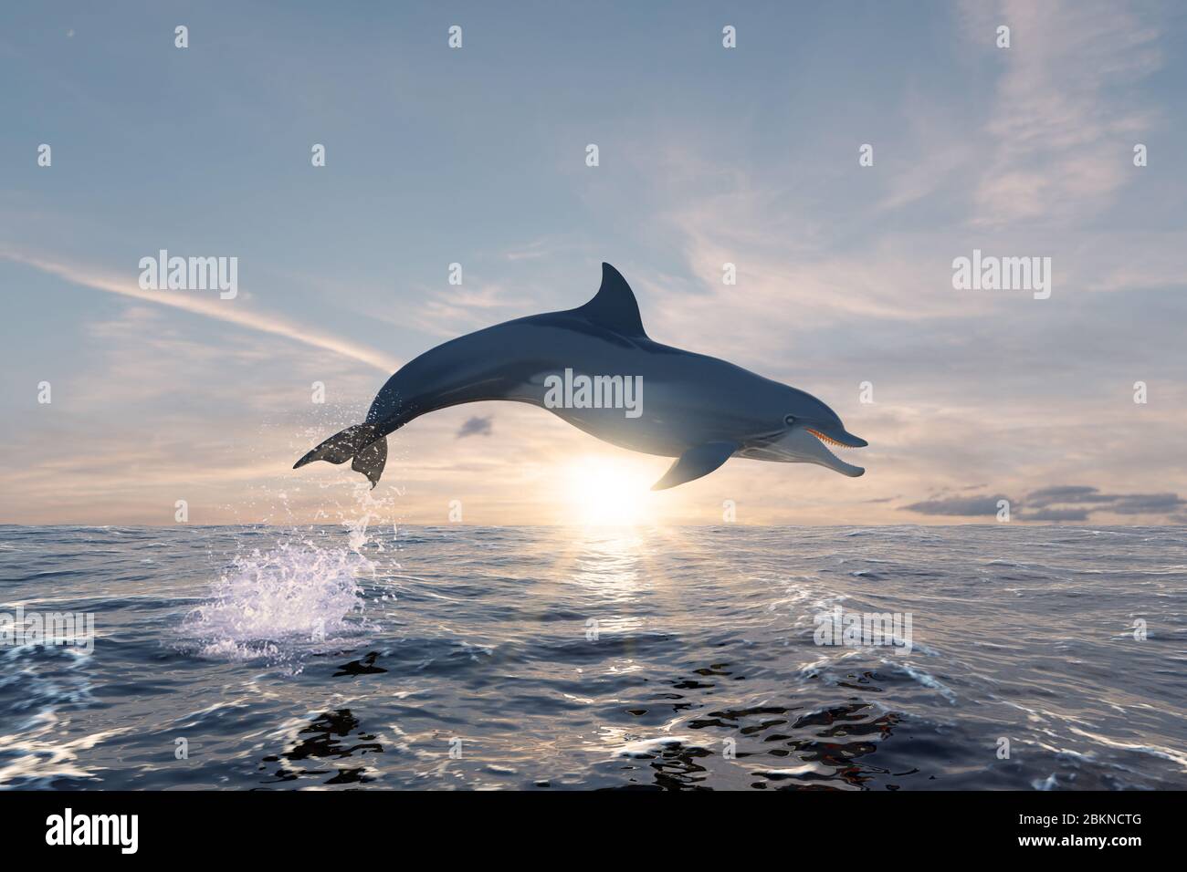 Dolphin smiling and happy jumping free in the ocean at sunset. 3D ...
