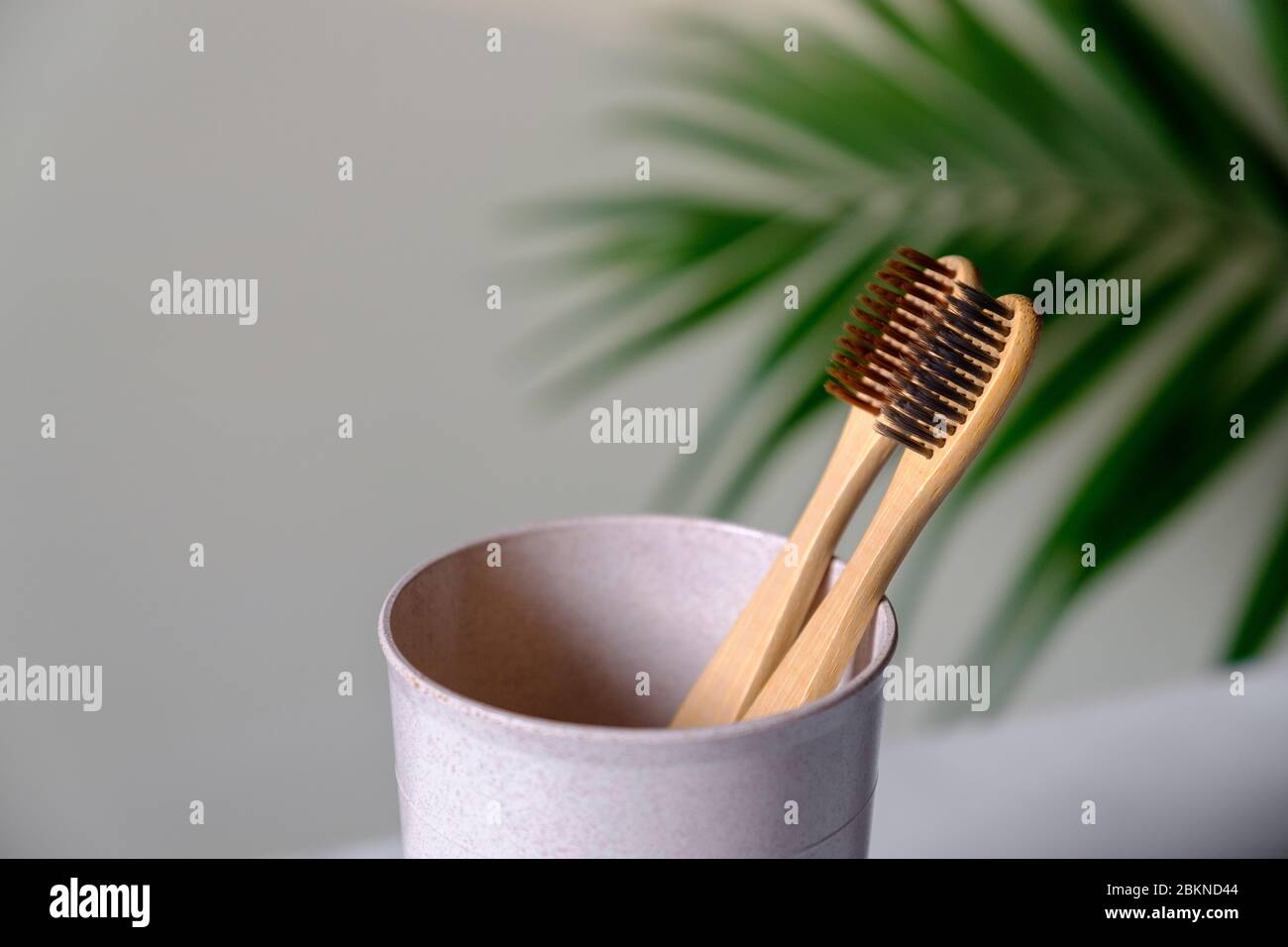 Eco friendly natural bamboo toothbrushes in cup, close up view. Dental ...