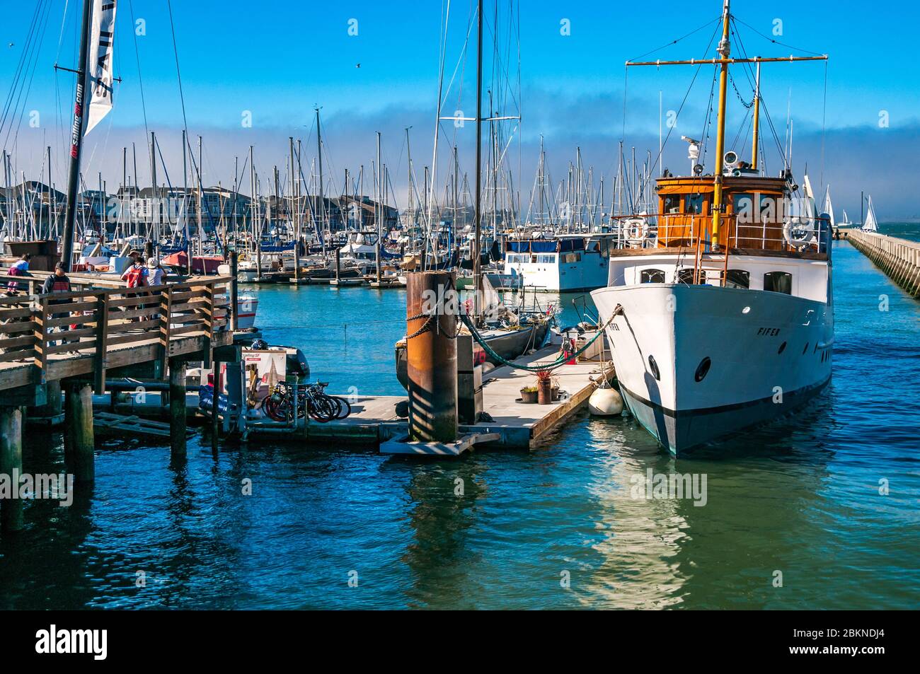 The marina at Fisherman’s Wharf, San Francisco Stock Photo Alamy