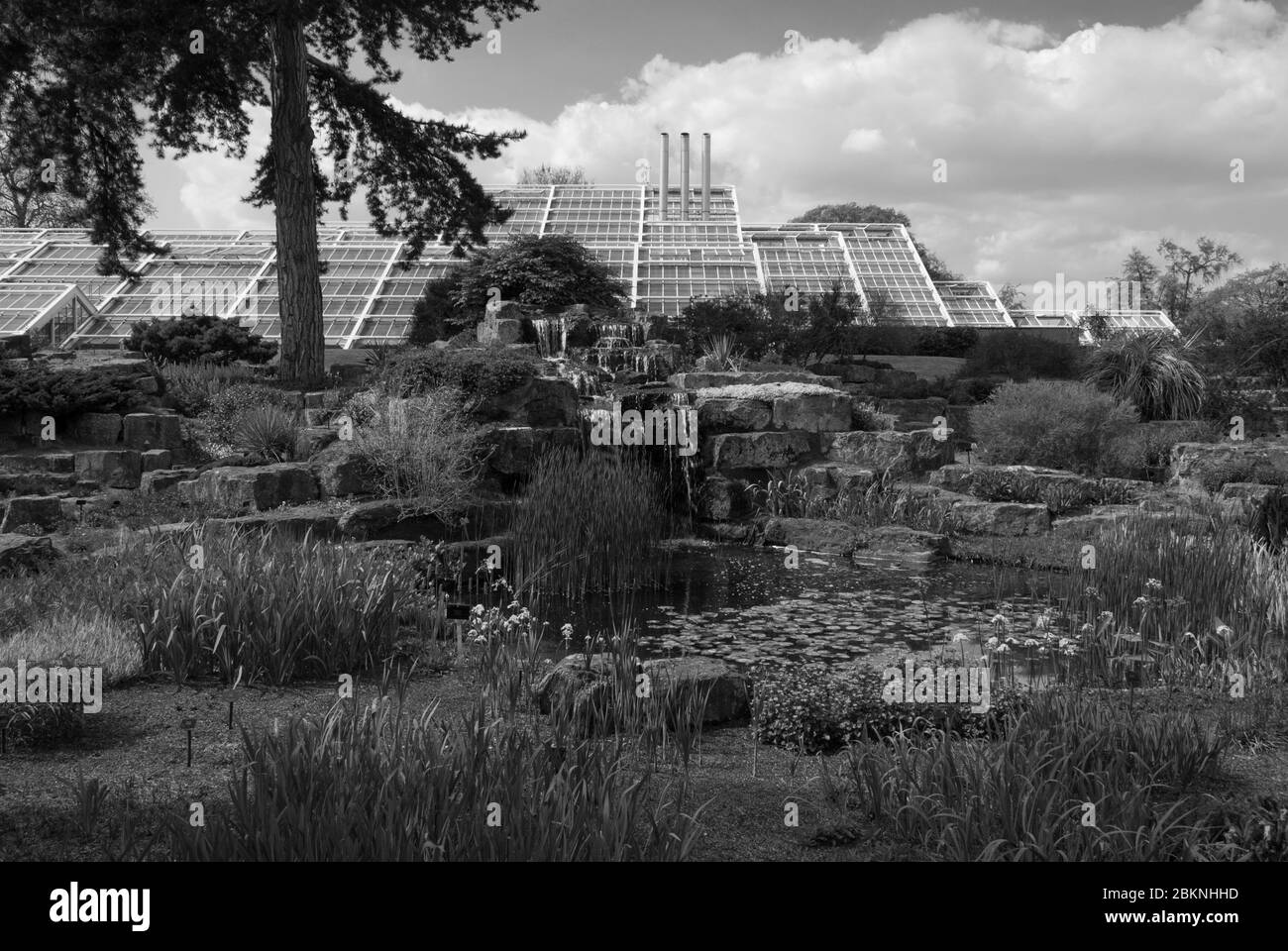 White Steel Glass Glasshouse Landscape Princess of Wales Conservatory Royal Botanic Gardens Kew Gardens, Richmond, London by Gordon Wilson Stock Photo