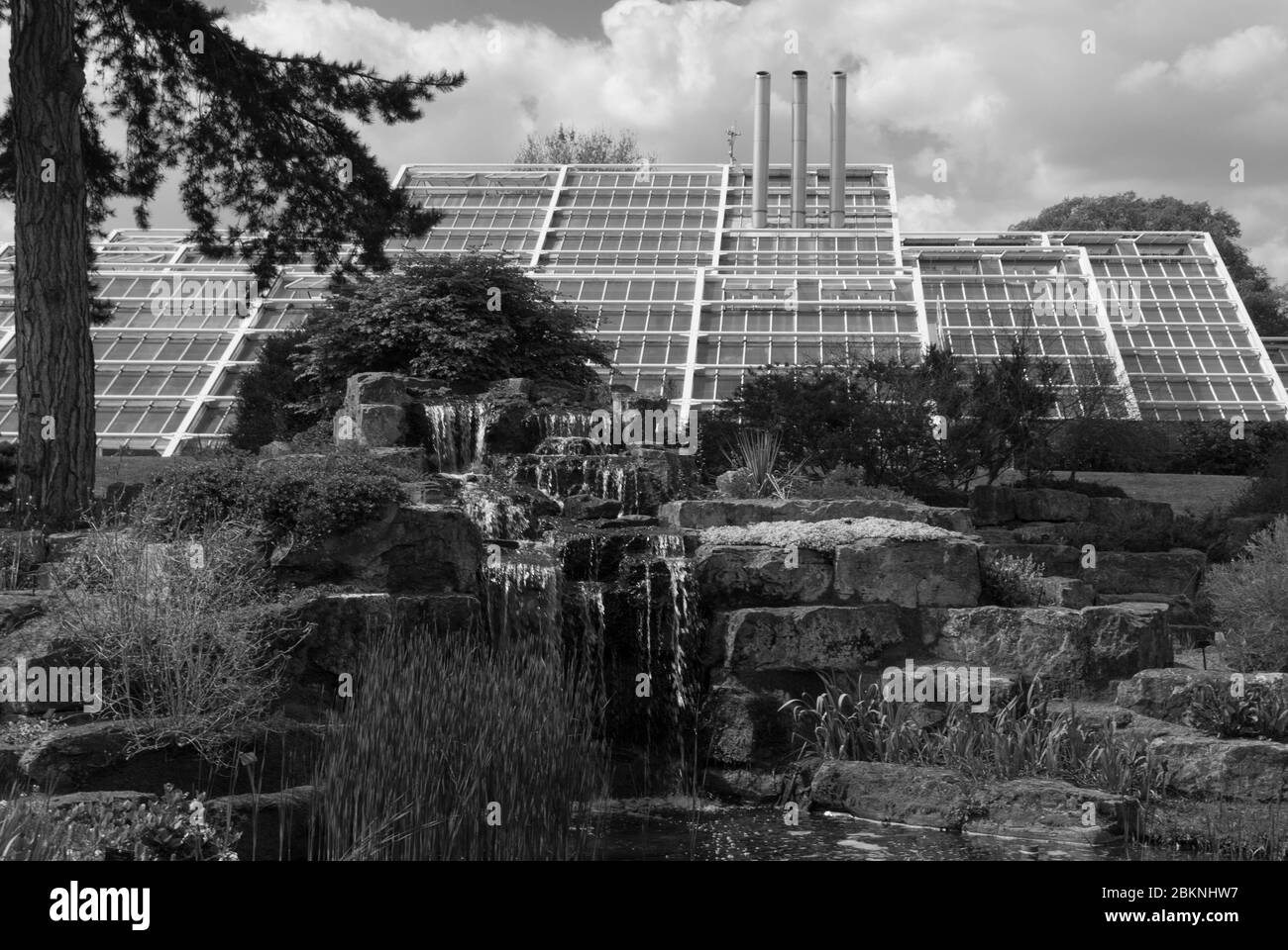 White Steel Glass Glasshouse Landscape Princess of Wales Conservatory Royal Botanic Gardens Kew Gardens, Richmond, London by Gordon Wilson Stock Photo