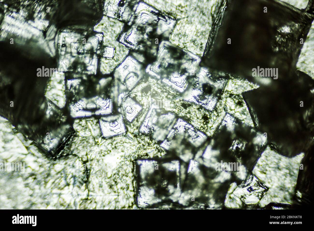 amazing salt crystals under the microscope Stock Photo Alamy