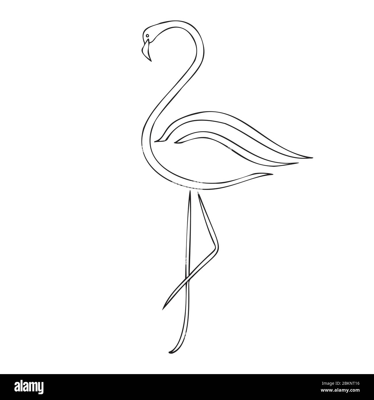 flamingo silhouette vector illustration, cartoon drawing of flamingo  tropical bird, outline illustration Stock Vector Image & Art - Alamy