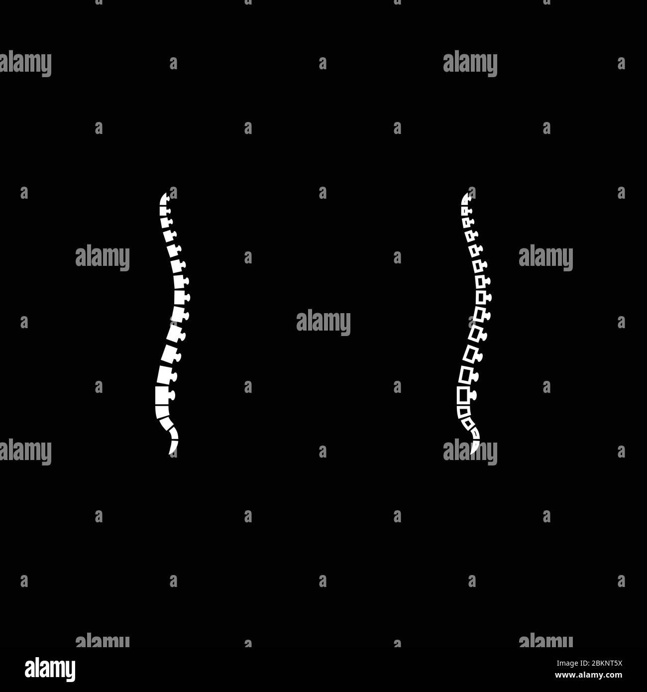 Spine human Spinal Lateral view Vertebras Dorsal vertebrae icon outline set white color vector illustration flat style simple image Stock Vector