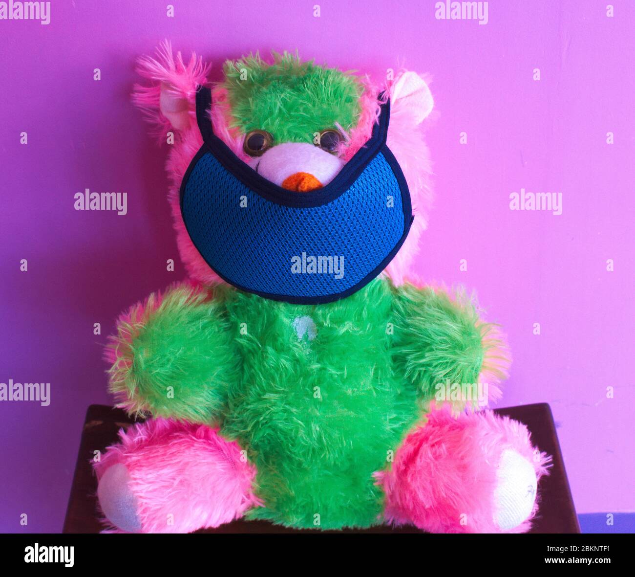 green and pink teddy bear
