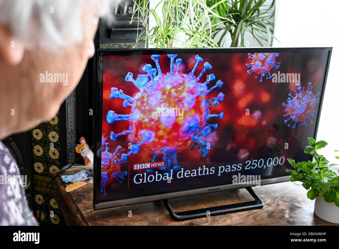 Coronavirus graphic on television with headline 'Global deaths pass 250,000'. Watched by an older viewer. Stock Photo