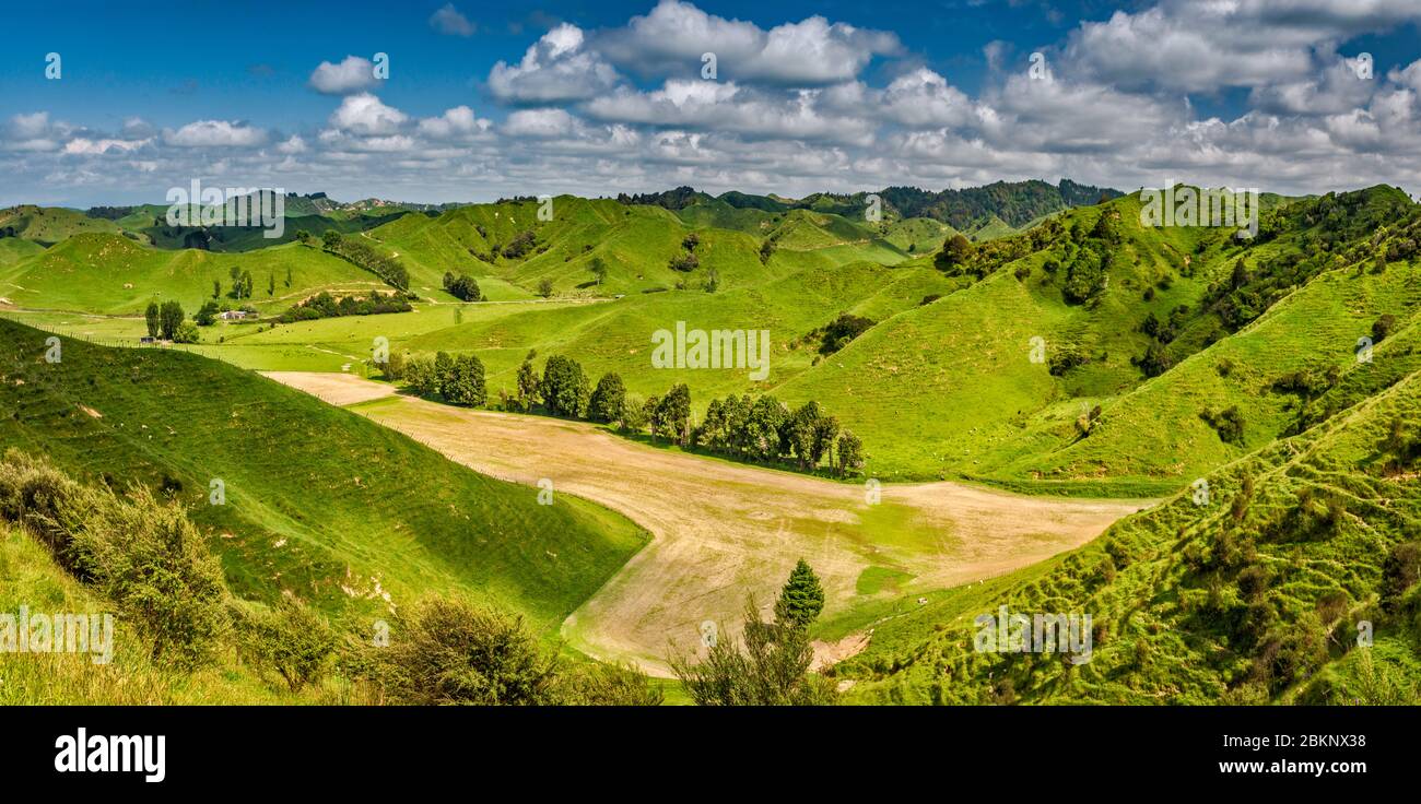 Field in hills at farm, Strathmore Saddle area on World