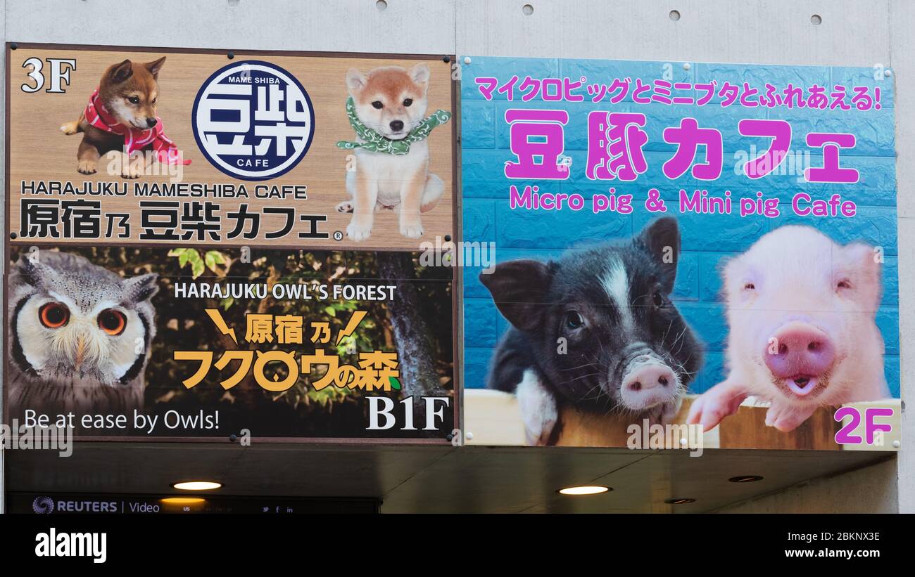 Animal Cafe Sign, Tokyo, Japan Stock Photo