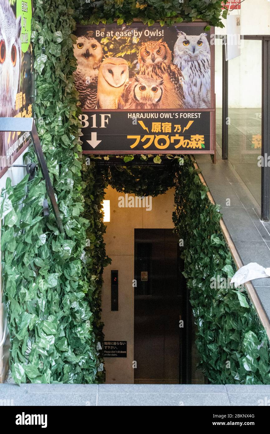 Animal Cafe Sign, Tokyo, Japan Stock Photo
