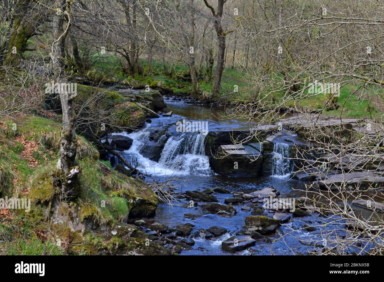 Taf Fechan river at Pont Cwm y Fedwen, Brecon Beacons, Wales Stock Photo