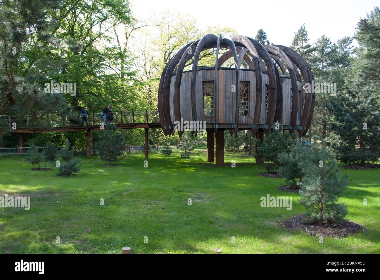 Quiet Mark Treehouse Woodland House Natural Area Royal Botanic Gardens Kew Gardens, Richmond