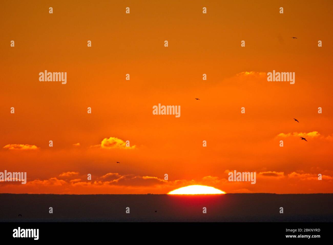 Golden orange sunrise over The Lizard, Cornwall, England, UK. Stock Photo