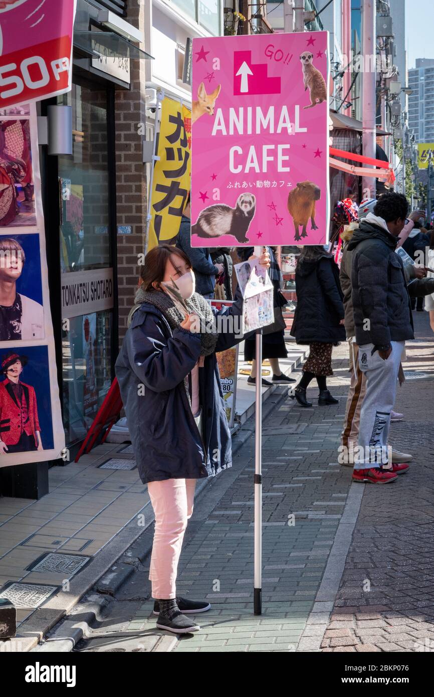 Girl Holding Animal Cafe Sign, Tokyo, Japan Stock Photo