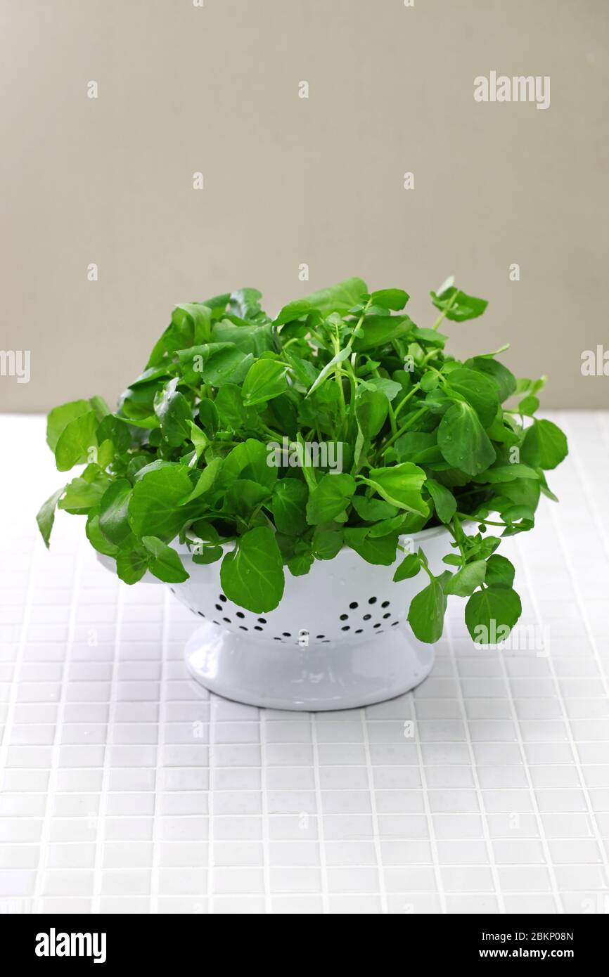 watercress  in  colander Stock Photo