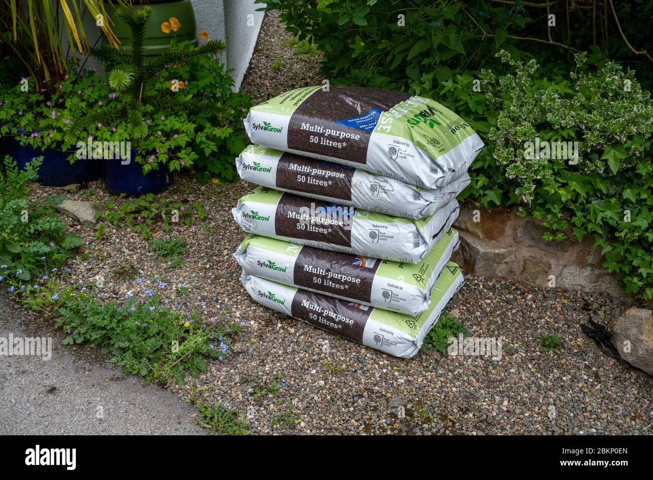 A pile of 5 50 litre plastic bags of multipurpose garden compost on a