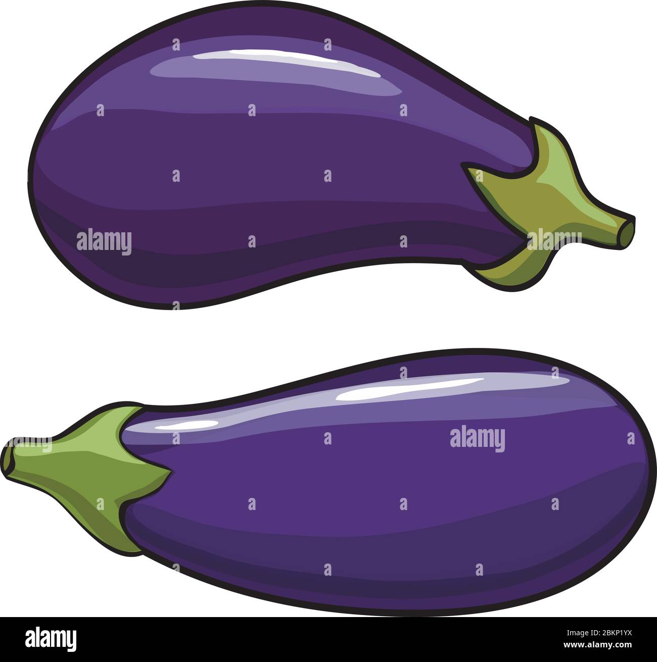 Vector. Aubergine. Eggplant on the white background Stock Vector