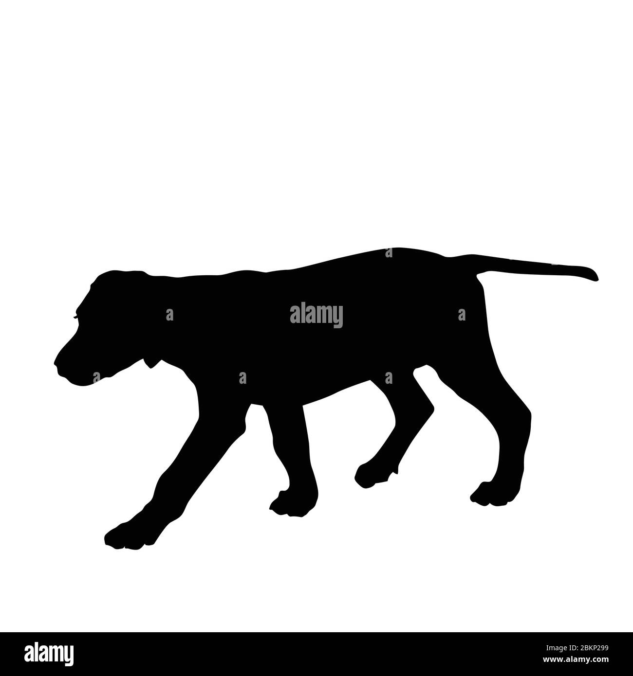 Dog silhouette walking on white background, vector illustration Stock Vector