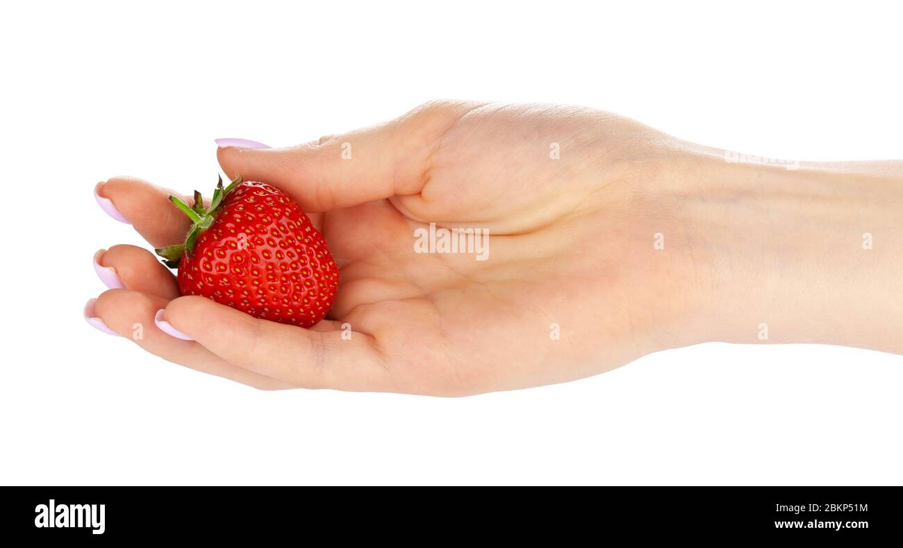 hand holding a strawberry isolated on white background Stock Photo - Alamy