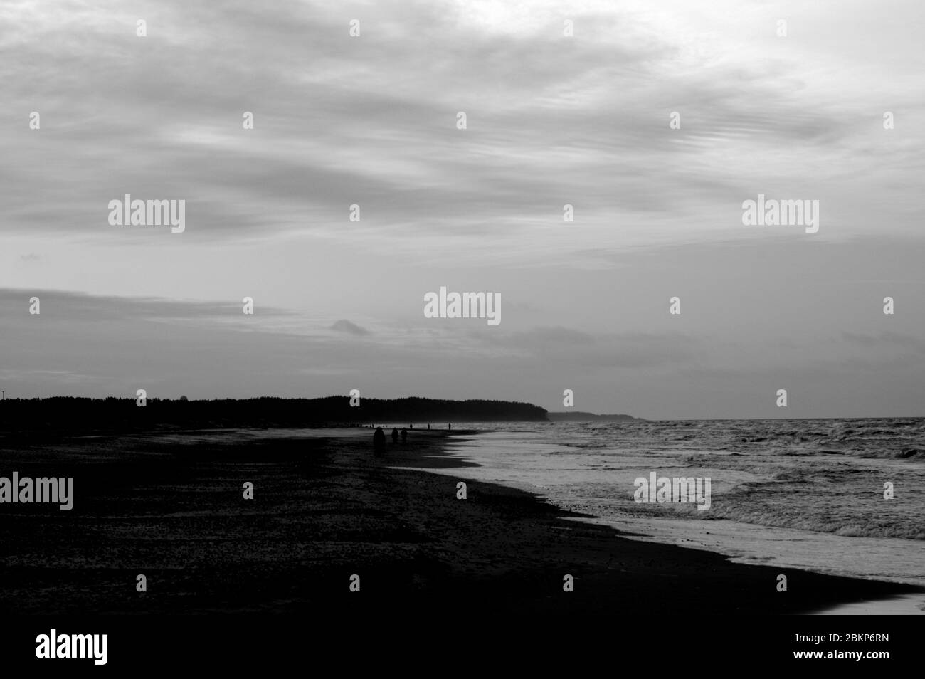 Baltic wildlife Black and White Stock Photos & Images - Alamy