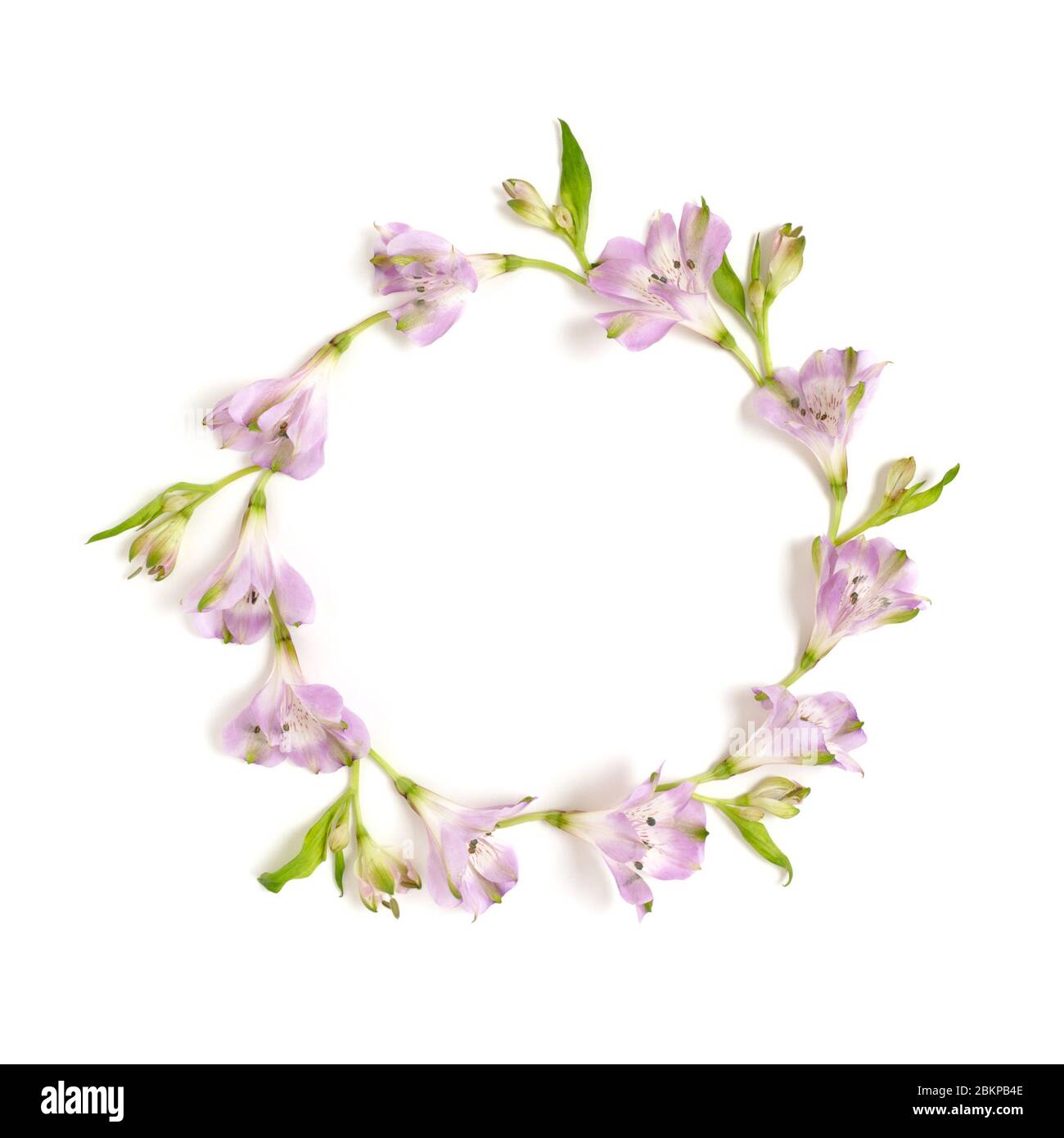 Round frame made of alstroemeria flowers and green leaves on a white ...