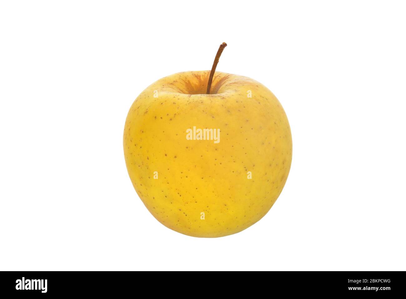 image of fruit one yellow apple on a white background Stock Photo