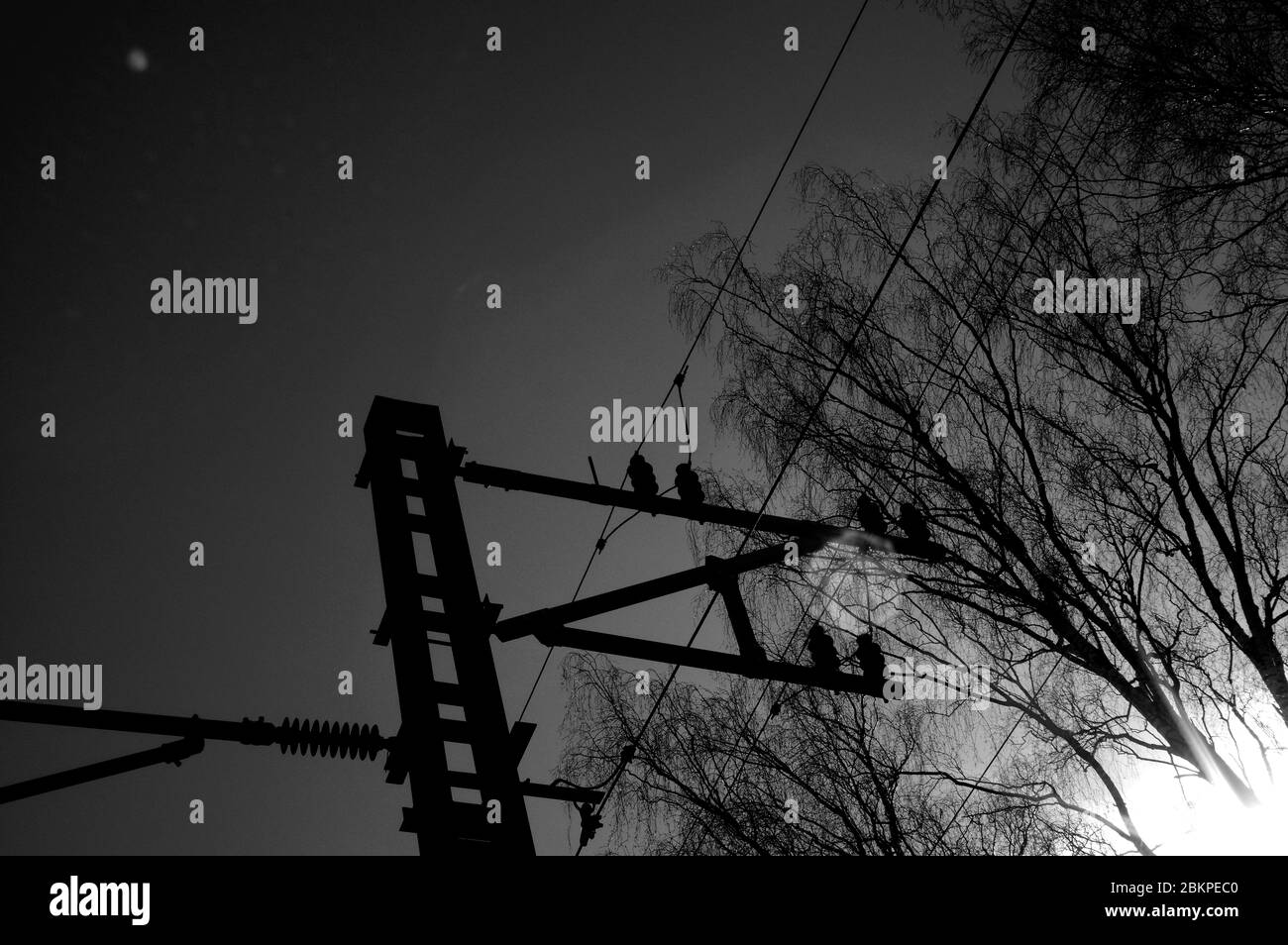 Power Train System Light
