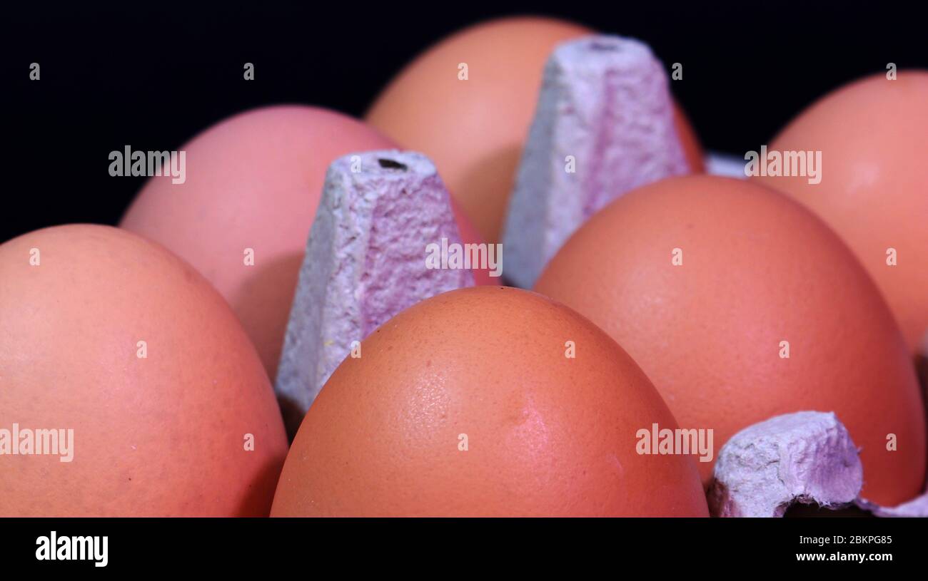Chicken's eggs Stock Photo