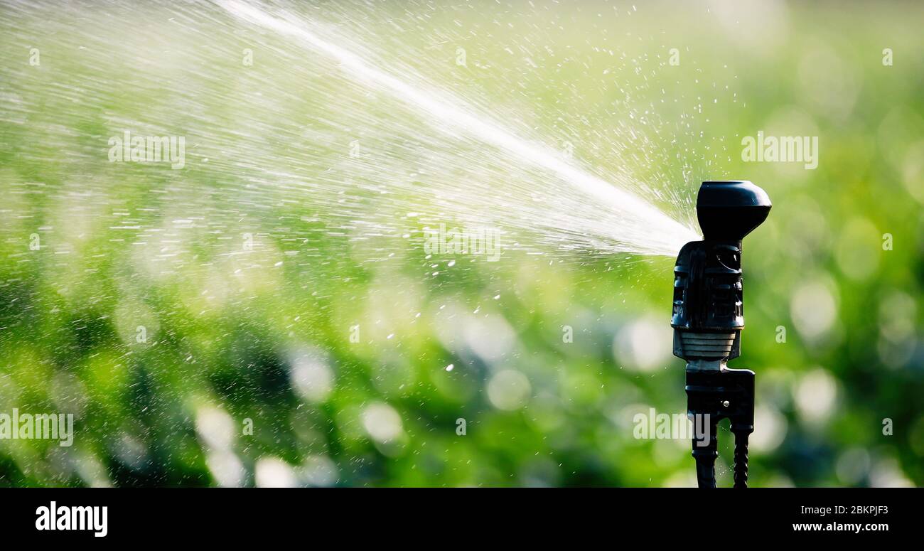 Irrigation system in function watering agricultural plants Stock Photo