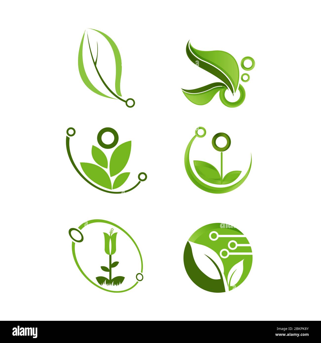 Vector set eco logos, leaves organic nature Bio energy organic shop logo, icon isolated. Green logos, healthy Stock Vector Image & Art - Alamy