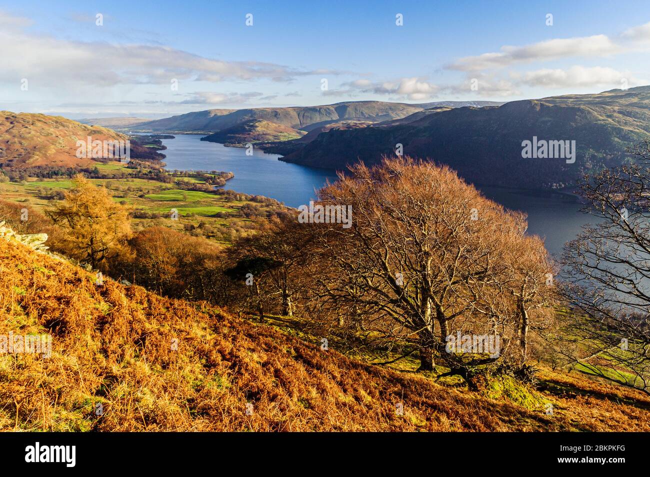 View over Ullswater from Glencoyne Brow Lake District with Place Fell right of centre Stock Photo