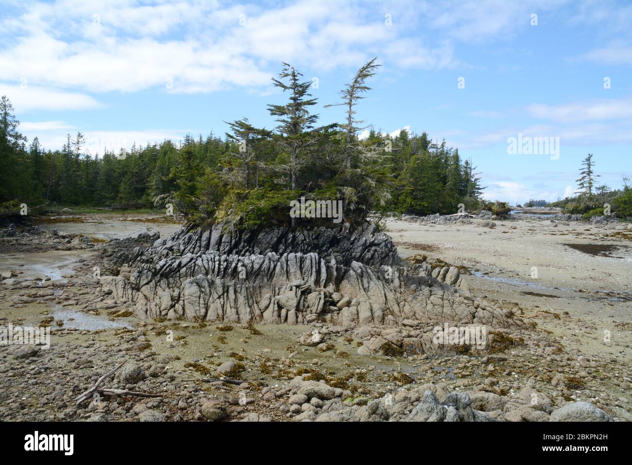 A Pacific Ocean islet and intertidal zone seabed exposed at low tide in the Great Bear Rainforest, central coast, British Columbia, Canada. Stock Photo