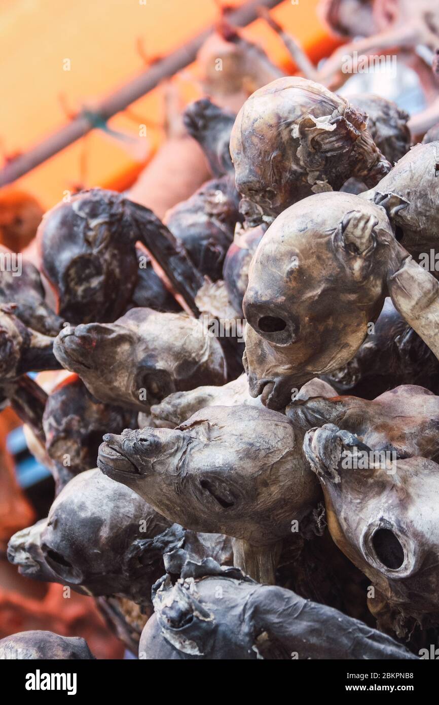 Llama fetuses in a Bolivian market. Traditional beliefs Stock Photo