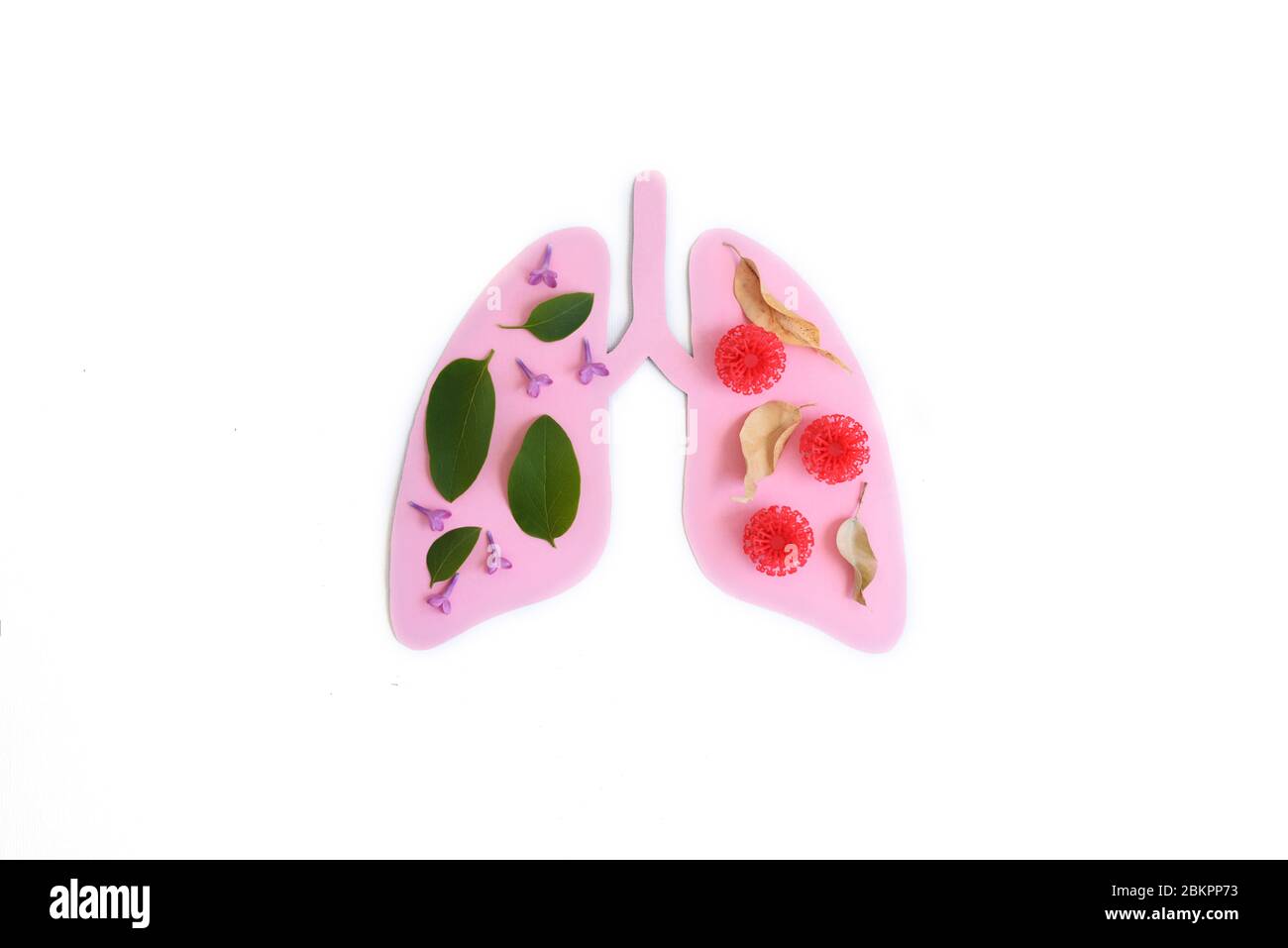 Coronavirus concept. Paper lungs with red balls. Minimal paper art. World Tuberculosis Day or World Lung Day concept. Pink Hole Lungs as symbol of hea Stock Photo
