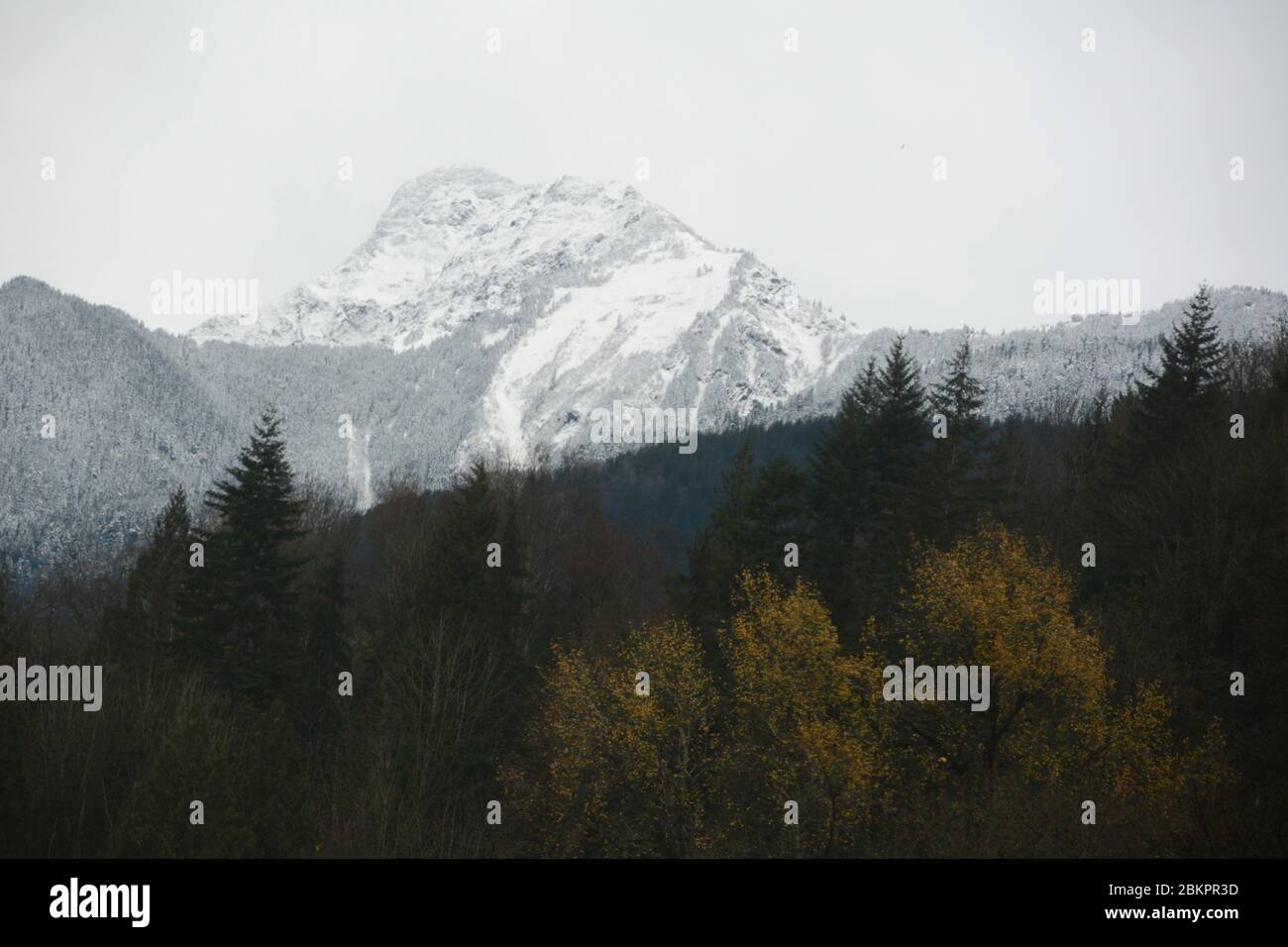 A dusting of snow on the forest and peaks of the North Cascade Mountains near the city of Chilliwack, British Columbia, Canada. Stock Photo