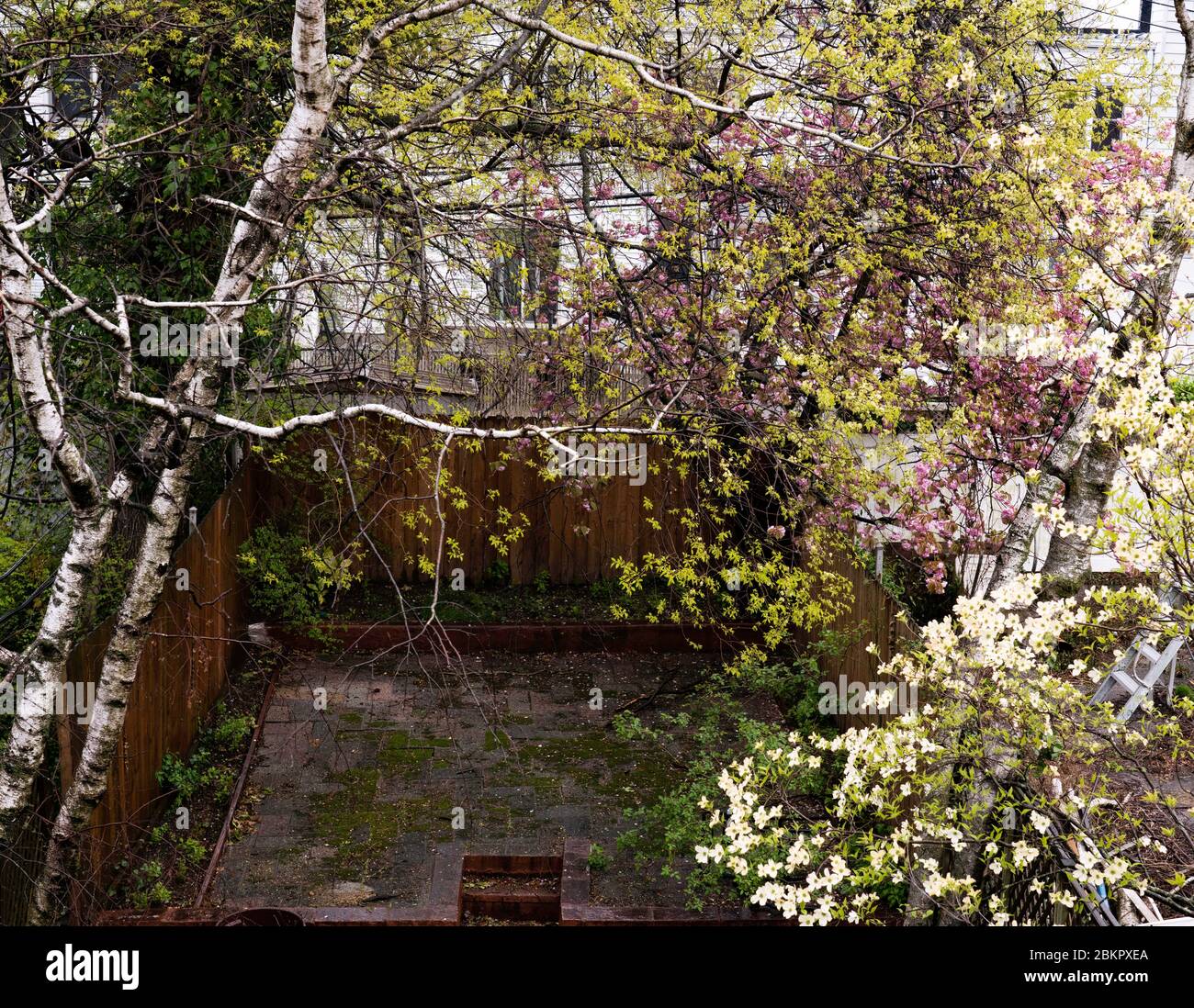 Bensonhurst new york hires stock photography and images Alamy