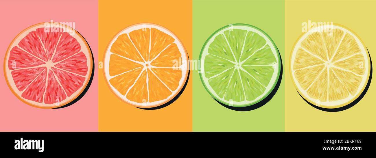 set citrus lime lime orange and grapefruit cutaway Stock Vector